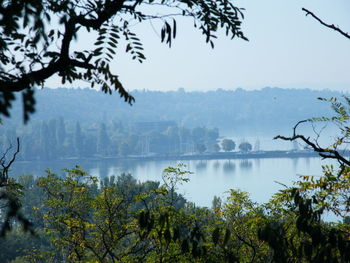 Scenic view of lake by trees against sky