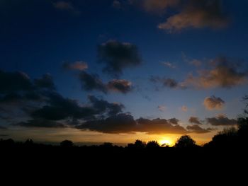 Silhouette trees against sky during sunset