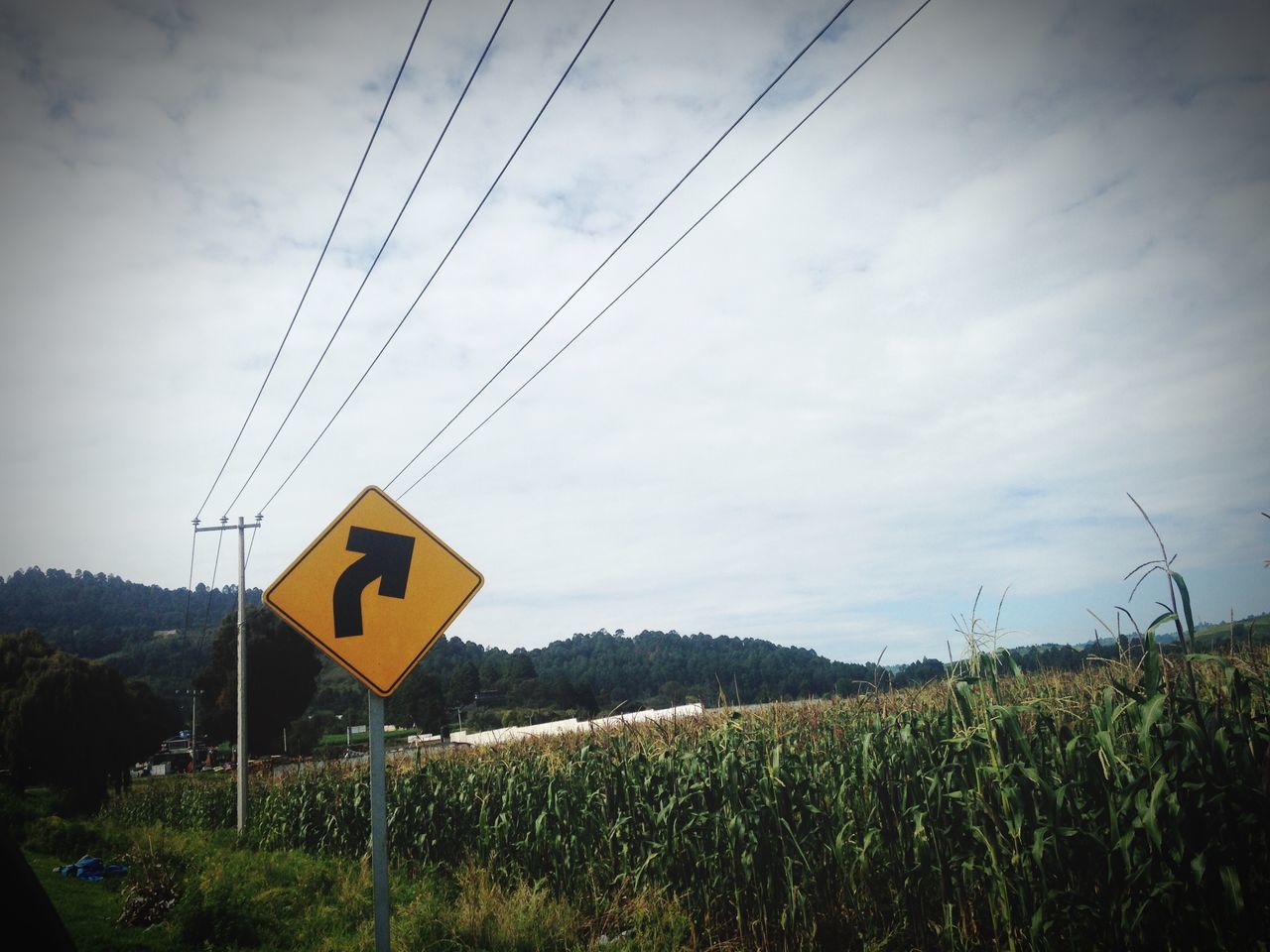 sky, field, landscape, communication, transportation, text, road sign, cloud - sky, grass, guidance, yellow, road, western script, information sign, cloud, rural scene, cloudy, directional sign, nature, plant