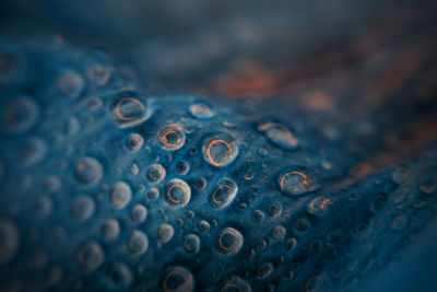 Close-up of wet blue sea