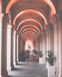 Corridor of building