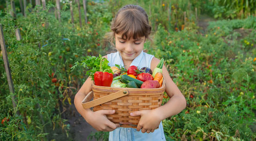 Rear view of girl picking in basket