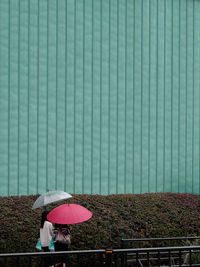 Rear view of woman with umbrella against blue wall