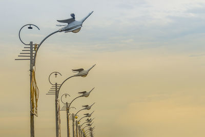 Low angle view of bird flying in sky