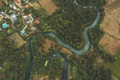 Aerial view of river by trees and buildings