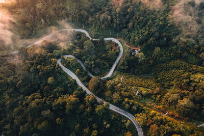 High angle view of road amidst trees