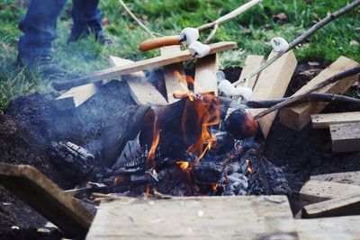 View of fire on log