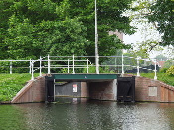 Bridge over river against trees