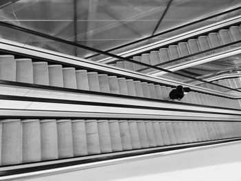 Rear view of woman on staircase