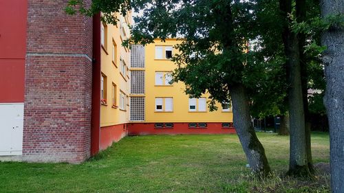 Trees and yellow outside building