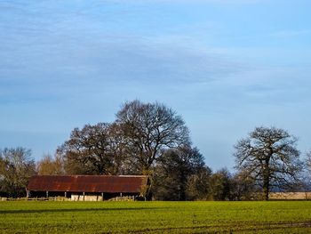 Scenic view of grassy field against sky