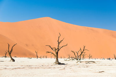 Scenic view of desert against clear blue sky