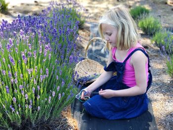 Side view of cute girl harvesting lavenders on field