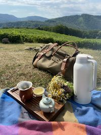 Romantic picnic at the tea plantation