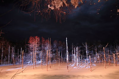 Trees on snow covered field against sky at night