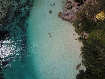 High angle view of trees on beach