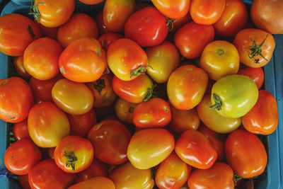 Full frame shot of tomatoes in market