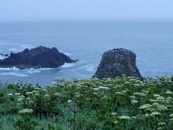Scenic view of rocks in sea against sky