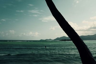 Silhouette man by sea against sky