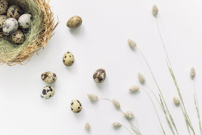 High angle view of candies against white background