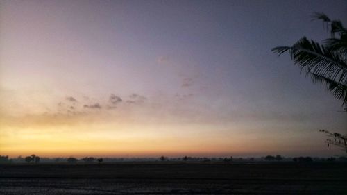 Silhouette trees on field against sky at sunset