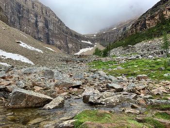 Scenic view of stream flowing through rocks