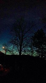 Low angle view of bare trees against sky at night