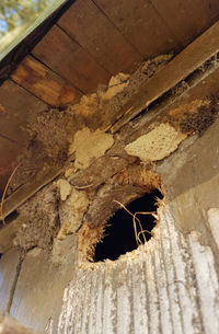 Close-up of broken window on wall