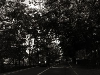 Road amidst trees in forest