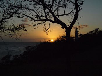 Silhouette trees against sky during sunset