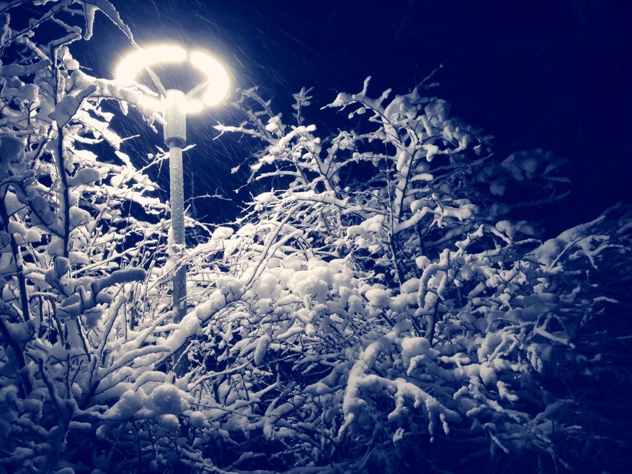 snow, cold temperature, winter, season, frozen, weather, night, covering, nature, tranquility, beauty in nature, tranquil scene, white color, illuminated, covered, scenics, low angle view, cold, outdoors, no people