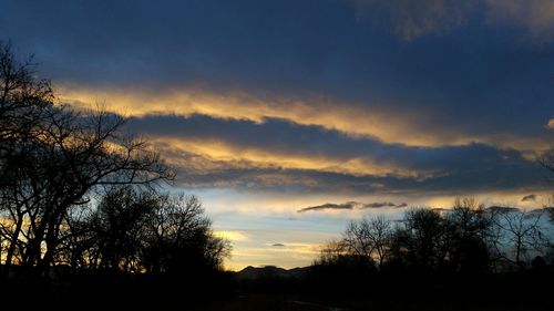 Silhouette of trees at sunset