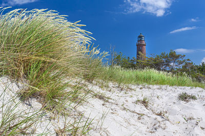 Plants growing on beach against sky