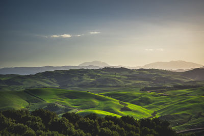 Scenic view of agricultural landscape against sky