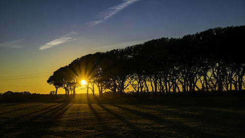 Silhouette trees on field against sky during sunset