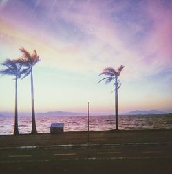 Palm trees on beach against sky during sunset