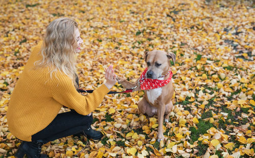 Low section of woman with dog sitting on autumn leaves