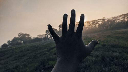 Close-up of hand against sky during sunset