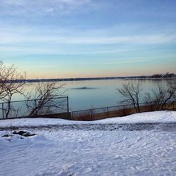 Snow covered landscape