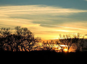 Silhouette trees against sky during sunset