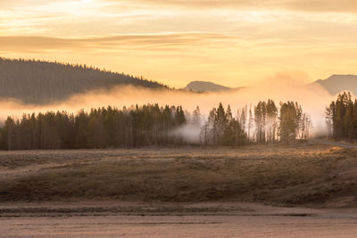 Foggy fall morning at yellowstone national park