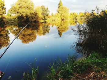 Reflection of trees in calm lake