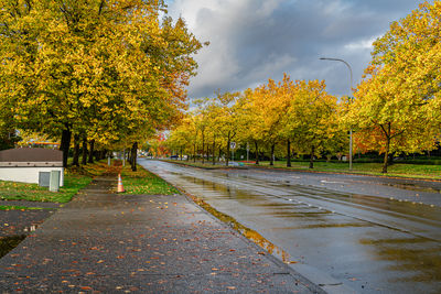 Empty road amidst trees against sky