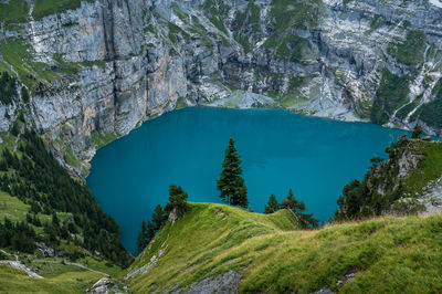 High angle view of trees on mountain