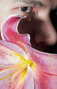 Close-up of flower head