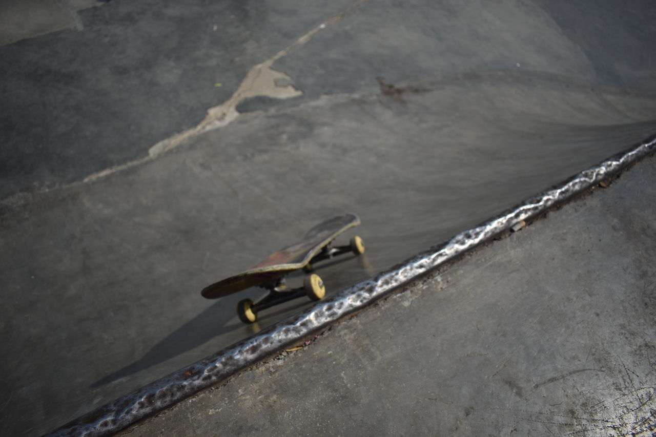 HIGH ANGLE VIEW OF BIRD PERCHING ON CONCRETE