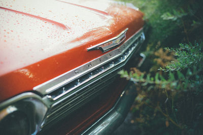 Close-up of wet car