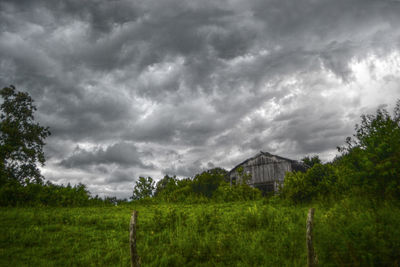 Trees on grassy field against cloudy sky