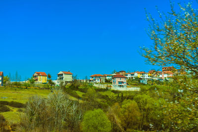 Trees and houses on field against clear blue sky