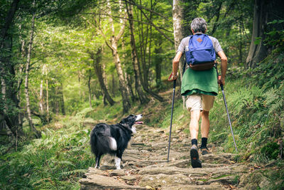 Man and his dog walking in the mountain forest. friends hike together in the nature. guy with pet 